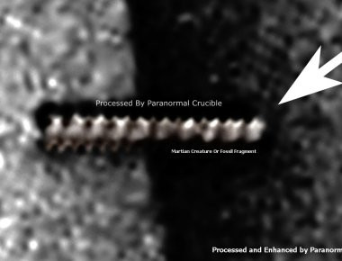 Βρέθηκε παράξενο απολίθωμα στον Άρη; (βίντεο)